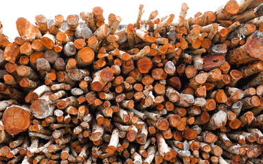 Background of heap firewood stack from Mangrove forest, natural wood, dry chopped firewood logs on white background.