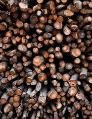 Background of heap firewood stack from Mangrove forest in Thailand, natural wood, Background of dry chopped firewood logs. Vertical.