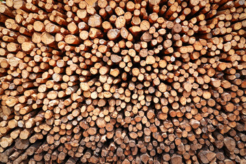 Background of heap firewood stack from Mangrove forest, natural wood, Background of dry chopped firewood logs.