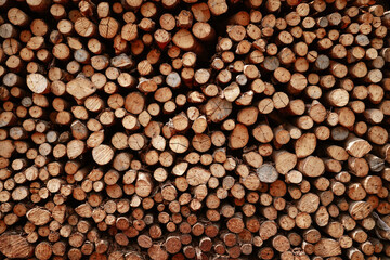 Background of heap firewood stack from Mangrove forest, natural wood, Background of dry chopped...