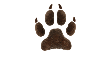 Isolated Dog Paw Print