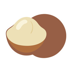  Charming Macadamia Nut Graphic for Marketing