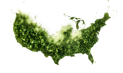  Green leaf powder floating in the air  transparent background PNG