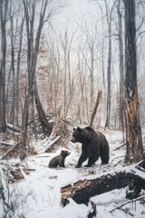 Wild animal standing in forest with cut down trees. Animal lost natural habitat due to human activity.