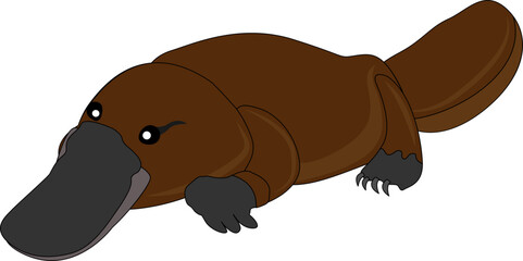 부리가 큰 포유류과 오리너구리