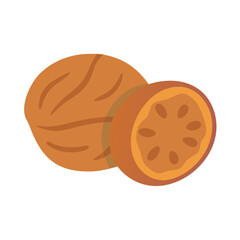  Aromatic Nutmeg Culinary Ingredient Icon