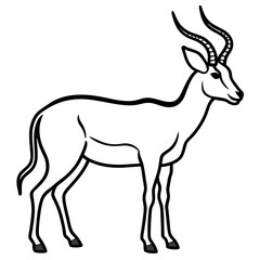 Minimalist Antelope Line Art Vector