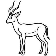 Minimalist Antelope Line Art Vector