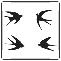 Swallow silhouette, Swallow illustration ,Swallow clipart, Swallow vector , Swallow icon , black Swallow, Swallow illustration on white background,