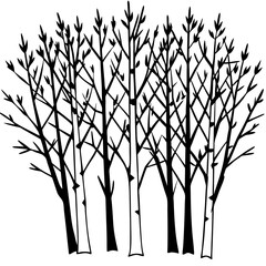 Birch Tree Cluster vector silhouette black design white background