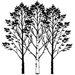 Birch Tree Cluster vector silhouette black design white background