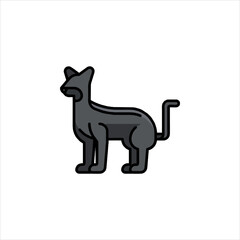 cat and dog