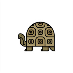 turtle on a white background