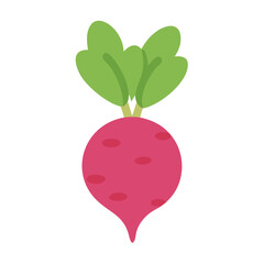  Radish Vector for Salads