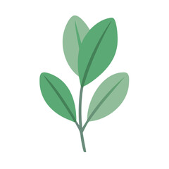  Sage Leaf Graphic for Culinary Dishes