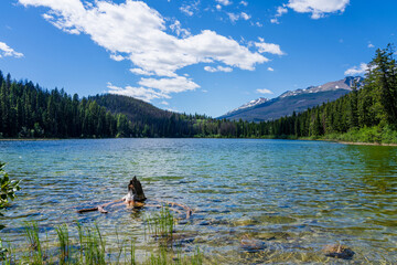 Summer scenic view of Cabin Lake, Jasper National Park, Alberta, Canada.