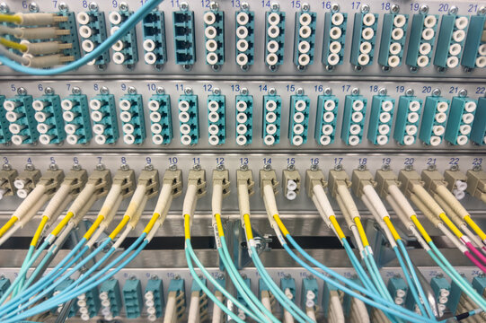LWL Lichtwellen Netzwerkkabel an einem Switch angebunden