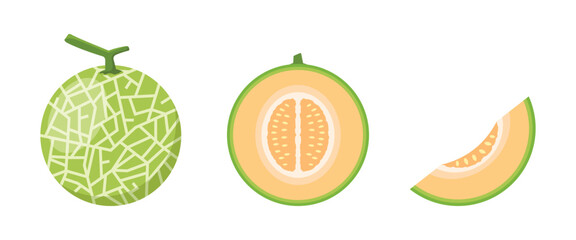 Melon vector isolated on white background. Half melon and sliced melon vector.  melon icon
