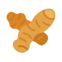  Aromatic Turmeric Root Culinary Icon