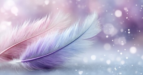 Obraz premium name: feathered dream