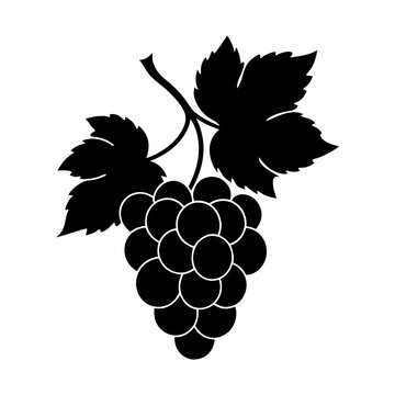 black grapes bunch leaves silhouette clip art preview