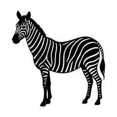Obraz premium Zebra animal illustration vector art black and white stripes african wildlife design image silhouette