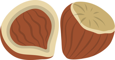 Halved Hazelnut Illustration: Rustic Brown Shell and Creamy Interior
