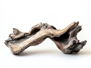 Abstract Brown And Grey Driftwood Piece Isolated On White Background