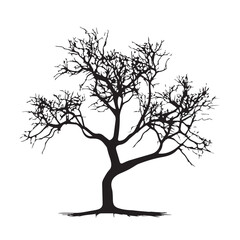 Fototapeta premium image of a tree without foliage, vector, black and white graphics 