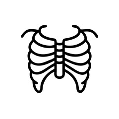 ribs