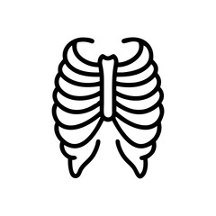 ribs