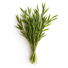 Obraz premium Fresh, vibrant bunch of herbs