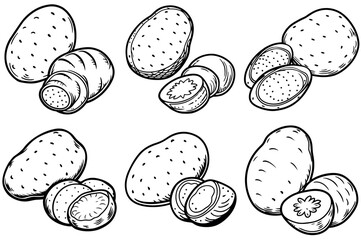Fototapeta premium Collection of Whole Potatoes and Sliced Potatoes Vector Illustration