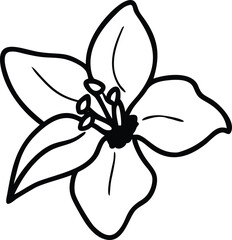 calendula, canna lily flower, Buttercup, Baby’s Breath (Gypsophila), carnation, celosia, chrysanthemum, clematis, coreopsis, cornflower, crocus, daffodil, dahlia, daisy, delphinium, flower logo