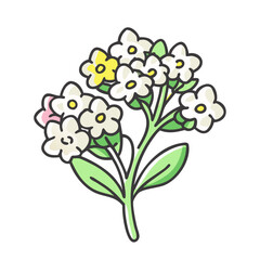swee alyssumt flower icon, swee alyssumt flower vector illustration-simple illustration of swee alyssumt flower, perfect for swee alyssumt flower logos and icons
