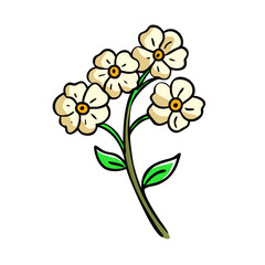 swee alyssumt flower icon, swee alyssumt flower vector illustration-simple illustration of swee alyssumt flower, perfect for swee alyssumt flower logos and icons