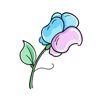 blue and pink flower on white background clip art preview