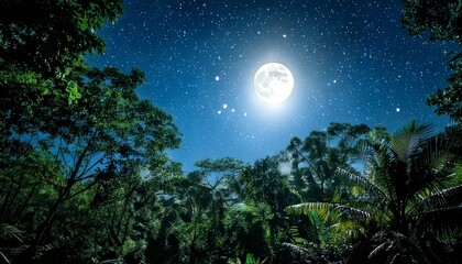 Amazon rainforest at night with fireflies shining, moonlight shining through the dense jungle trees