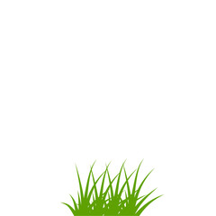 Green grass illustration
