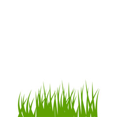 Fototapeta premium Green grass illustration