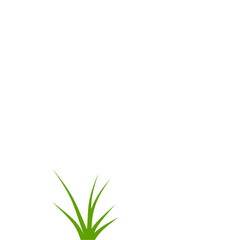 Fototapeta premium Green grass illustration