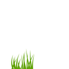 Green grass illustration