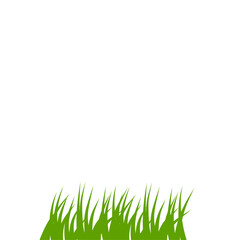 Fototapeta premium Green grass illustration