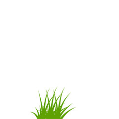 Fototapeta premium Green grass illustration