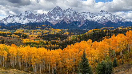 Majestic autumn landscape featuring vibrant orange aspens in the foreground and snow-capped mountains