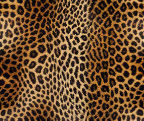 Leopard tiger skin seamless pattern texture print
