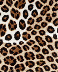 Fototapeta premium Leopard tiger skin seamless pattern texture print