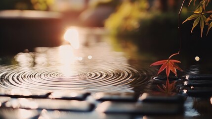 Zen Garden Serenity: Golden Sunlight and Rippling Water Reflections with a Maple Leaf