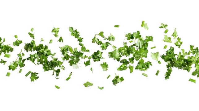 Fresh chopped parsley garnish ingredient for cooking recipes and food photography on black background