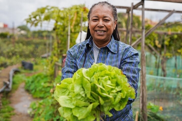 Happy elderly african woman holding fresh organic lettuce with house garden in background - Senior...